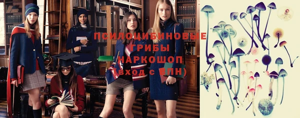 гашик Алексеевка