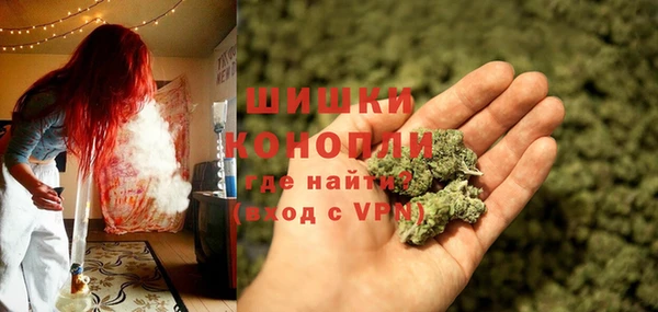 хмурый Сосновый Бор