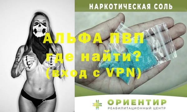 гашик Алексеевка