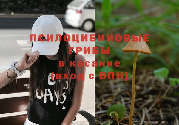 трава Алексин