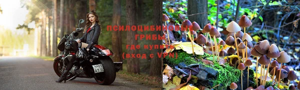 трава Алексин
